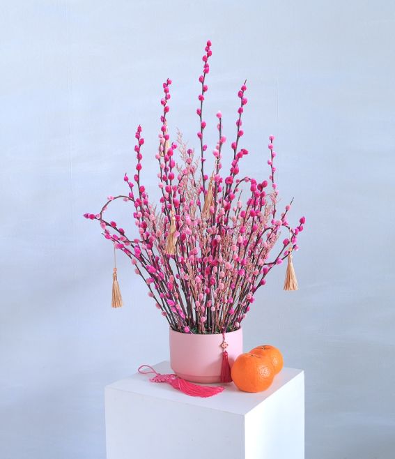 CNY Pussy Willow Pink