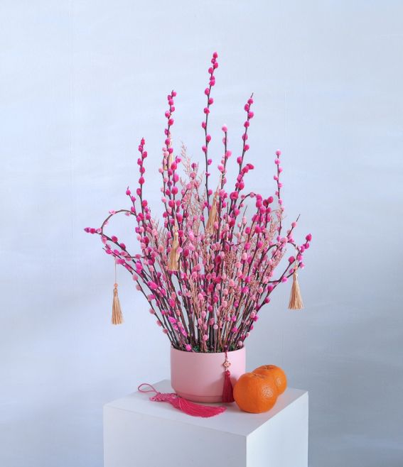 CNY Pussy Willow Pink