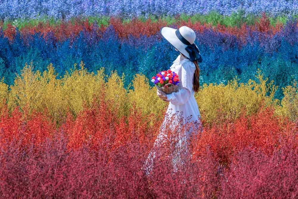 Girl in Flower Field