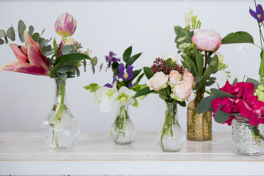 Variety of Fresh Flowers Display on Vase